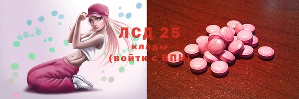 стаф Абинск