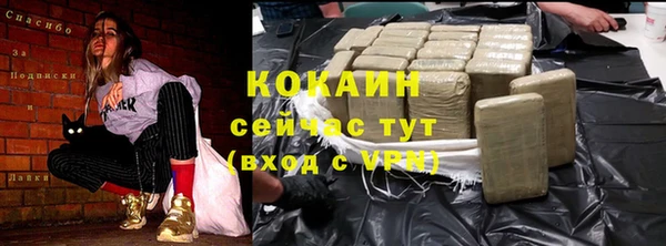 стаф Абинск
