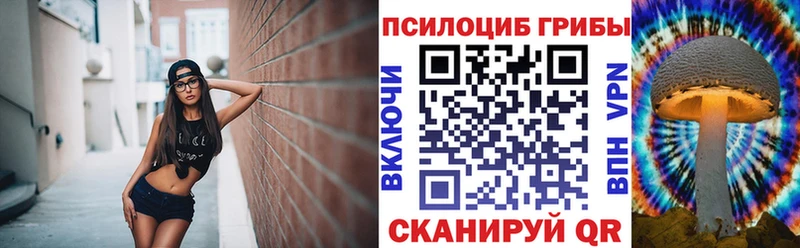 MEGA рабочий сайт  Волгоград  Галлюциногенные грибы MAGIC MUSHROOMS 