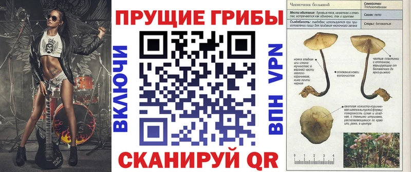 Галлюциногенные грибы Magic Shrooms Волгоград