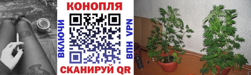 МАРИХУАНА VHQ Волгоград